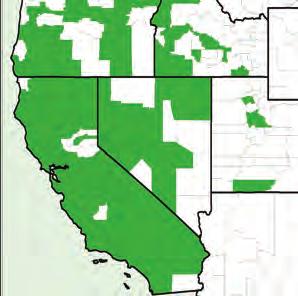A-NRCS, Fallon, NV. Distribution: Restricted to the western U.S., with a broad distribution in California, Oregon, and Nevada, and scattered occurrences in Idaho and Utah.