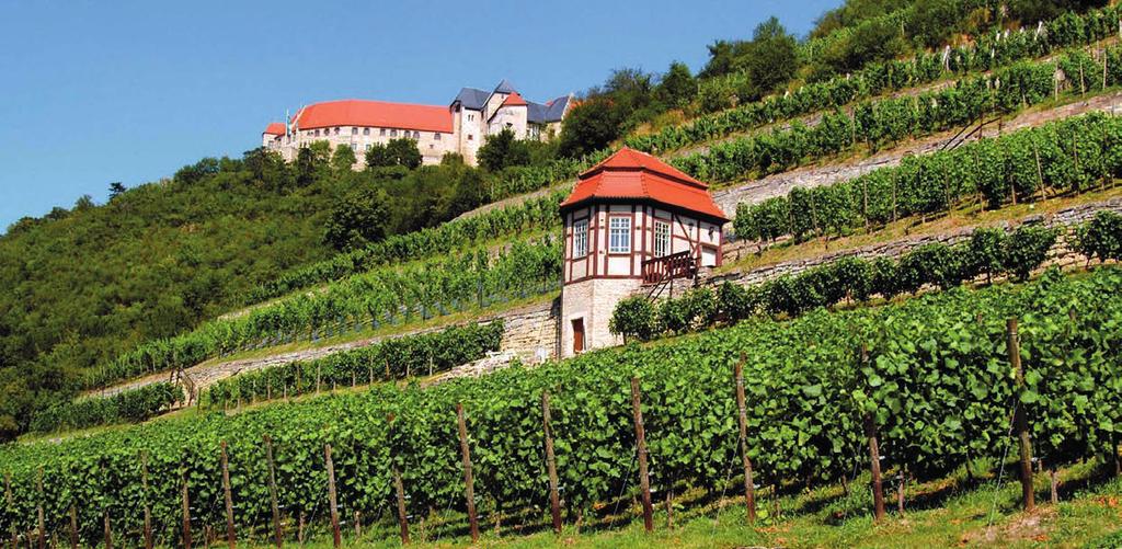 THRILLED EXPERIENCE The beautiful castle and wine region of Saale-Unstrut with its famous St.