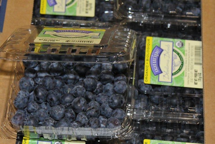 arrives from Chile. Driscoll s Organic Blueberries are transitioning this week to 6 oz packs as the Mexican supply ramps up. Prices will ease slightly as well.