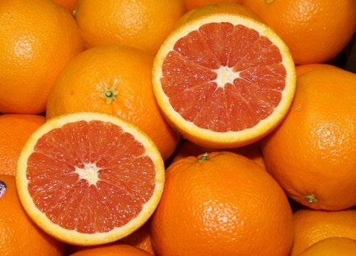 Blood Oranges - just now starting. Half cases and 2lb bags are in stock. Pummelos - in peak season! Jumbo sizes are prominent.