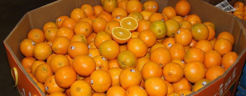 Mandarins - peak season continues on California, Morocco, and Spain Clementines. They will remain promotable through mid-january.