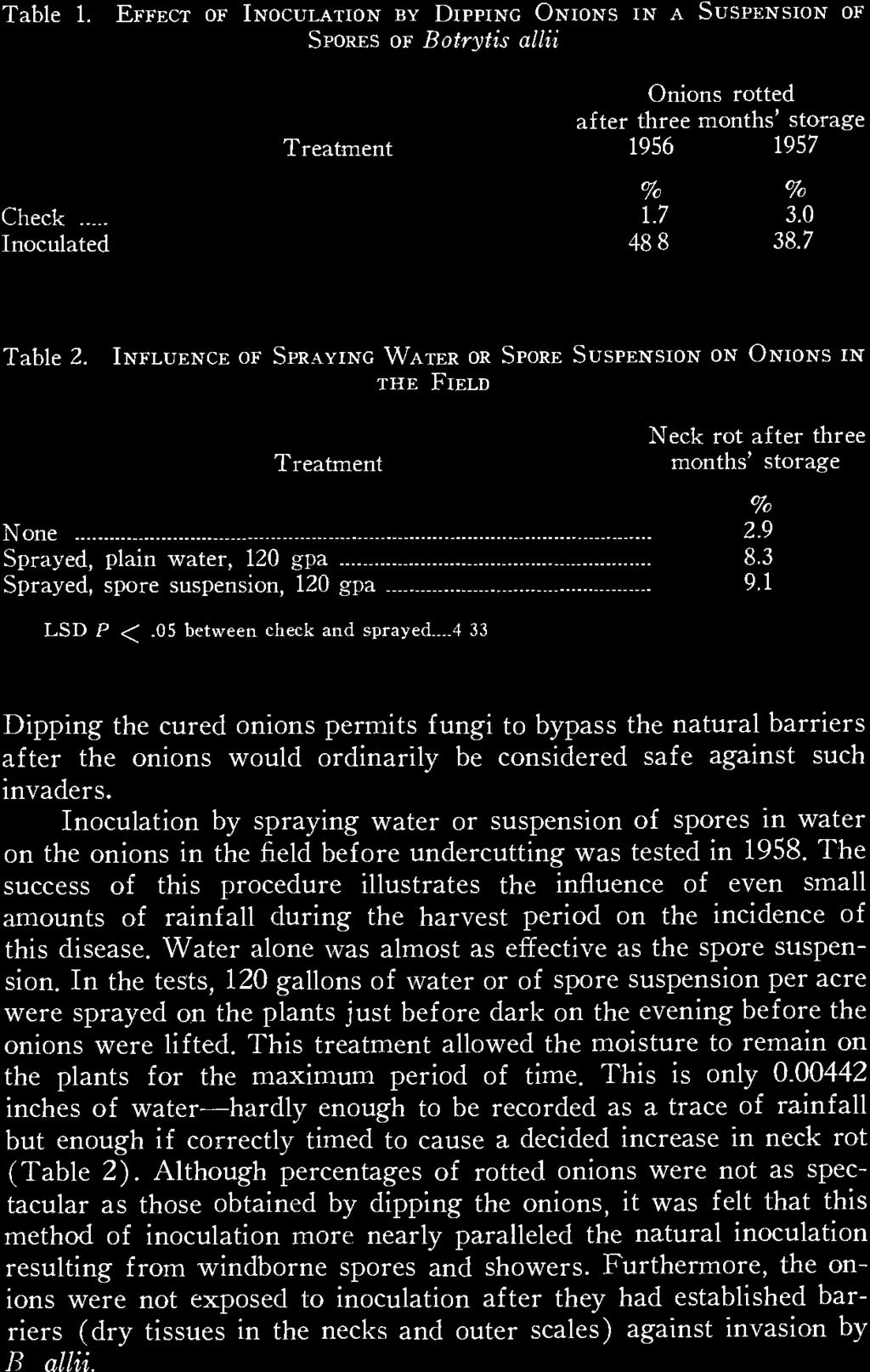 Table 1. EFFECT OF INOCULATION BY DIPPING ONIONS IN A SUSPENSION OF SPORES OF Botrytis allii Onions rotted after three months' storage Treatment 1956 1957 Check ----- 1.7 3.0 Inoculated 48 8 38.