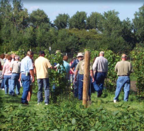 8 North Dakota s Grape and Wine Industry: STRATEGIC VISION AND DIRECTION PLAN RESEARCH AND EDUCATION Although NDSU has been conducting some grape research, the state s grape growers tie to the