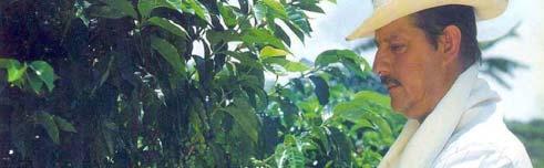 Colombian Coffee Growers: 89%