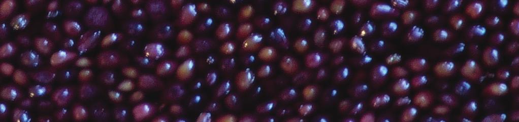 tannins and their reaction products (such as polymeric pigments) modulate wine color and astringency.