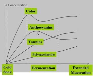 Anthocyanins higher solubility in water Tannins higher solubility in alcohol Source: Zoecklein, Bruce.