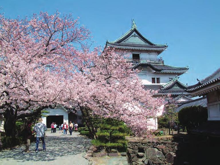 Wakayama Castle Cherry Blossoms (late March to early April) The castle