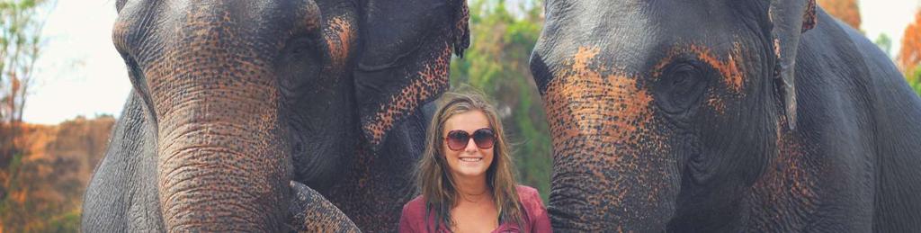 Volunteering To understand Thailand is to understand its relationship with Elephants.