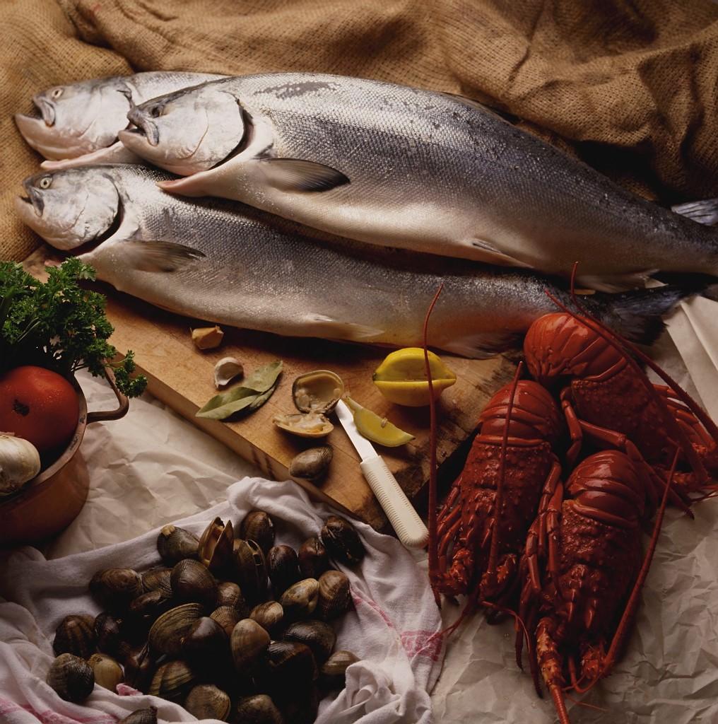 PESCE Filomena is proud to serve only Fresh Daily Fish. Menu Selections are therefore subject to availability.