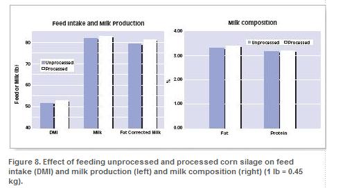 Effect of Processing on Milk