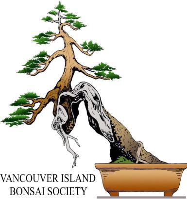 June 2014 Next Society meeting: Monday, June 16th, 2014 7:30 pm at Garth Homer Centre Contents: Shore Pine 2 Submitted photos 5 June Bonsai Advice 6 Last Meeting 7 Convention 9 2014 VIBS Officers