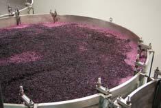 Wine Wine is an alcoholic beverage made from fermented grapes or other fruits Production process: Grape (crushing) + S.