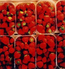 Harvest Maturity Strawberries are harvested at different stages of maturity, depending on the cultivar and market preference.
