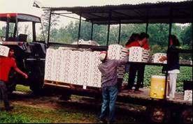 The cartons should be kept in the shade and protected against desiccation from wind.