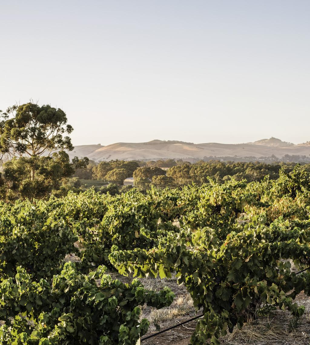 In conclusion Over the next five years, we are committed to delivering tangible improvements for our levy payers by increasing the demand and the premium paid for Australian wine and increasing