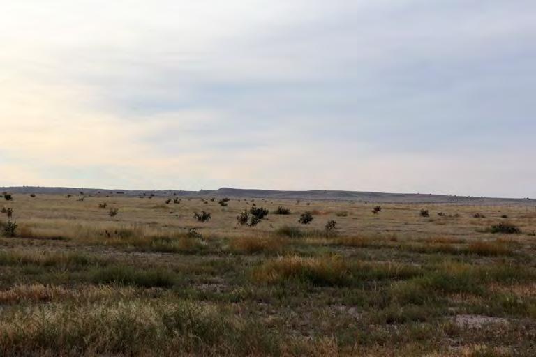 Typical appearance of the High Plains found
