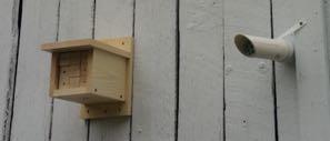 When, Where, and How to install Bee Hotels Some ideas for How: Zip ties On a post In a tree Rope Wire Nails, screws Requirements: 1.