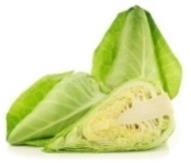 cabbage,