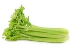Broccoli, ,