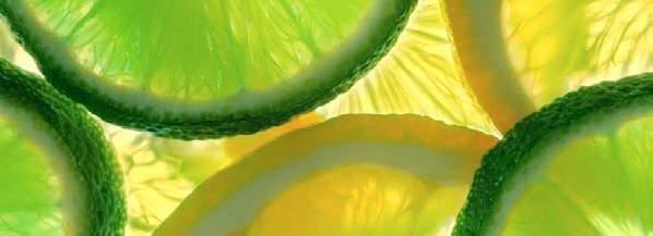 55 Lemon/Lime Squeezer Zinc Alloy 16621 21cm (Handwash only) 1 5.15 Citrus Juicer 75545 20cm 1 13.