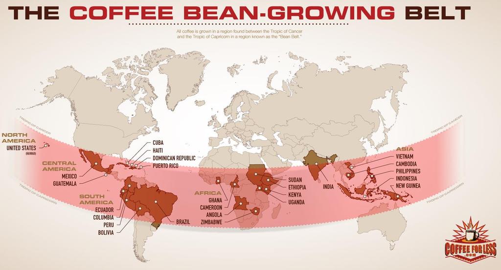 3.2. Coffee producing countries The map below in Picture 7 illustrates precisely the coffee bean growing belt which indicates the group of coffee producing countries in the world.