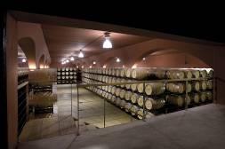 The developing of fine wines and taking our work forward while always respecting the purest Rioja and