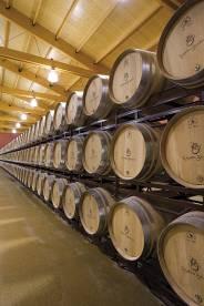 FACTS & FIGURES Located in Haro, the capital of Rioja Alta 75 ha. vineyard property. Over 300 ha. direct vineyard management. Constant renewal of barrel cellar, kept maximum 5 years.