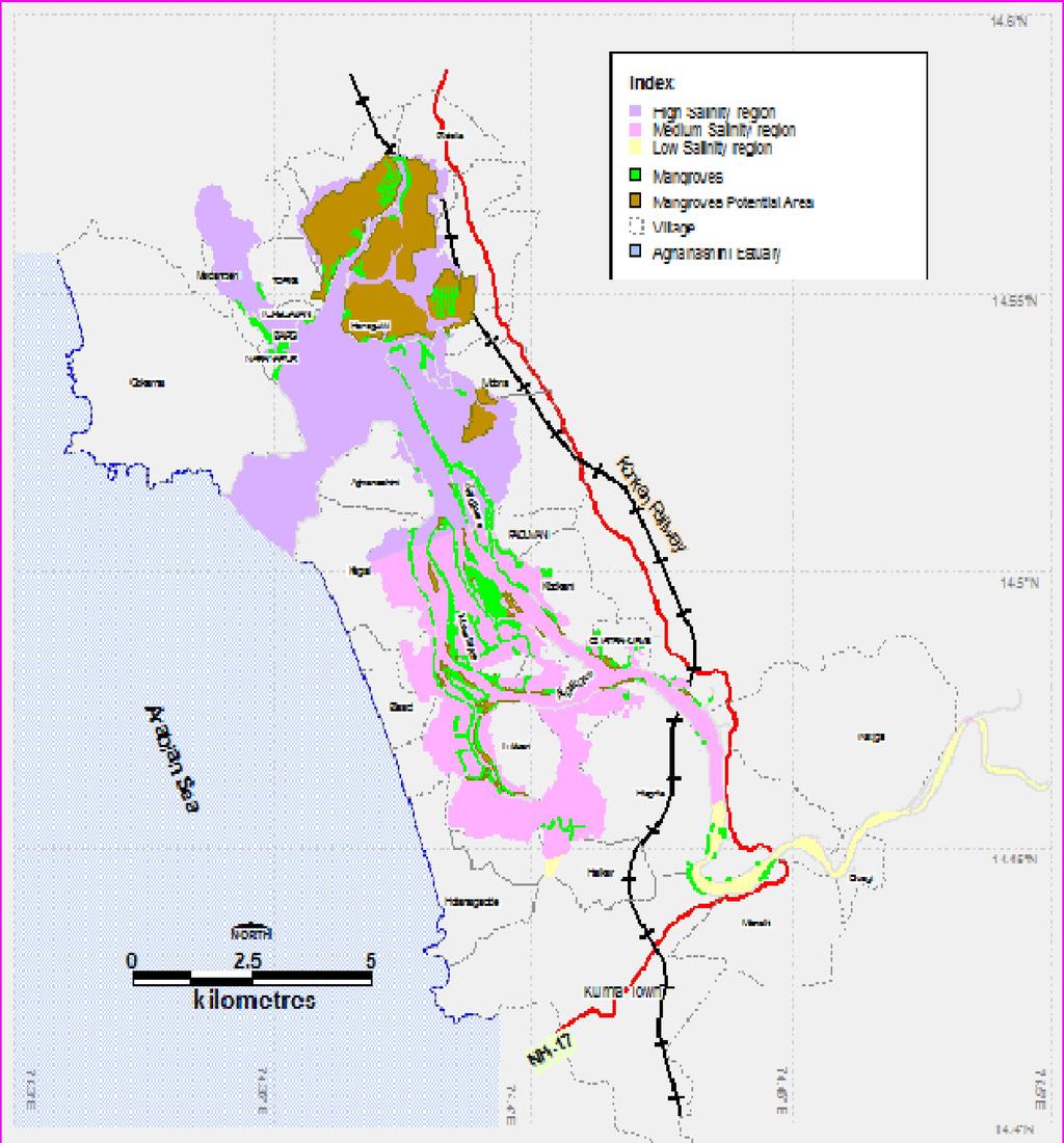 Figure 3: Mangrove areas and potential