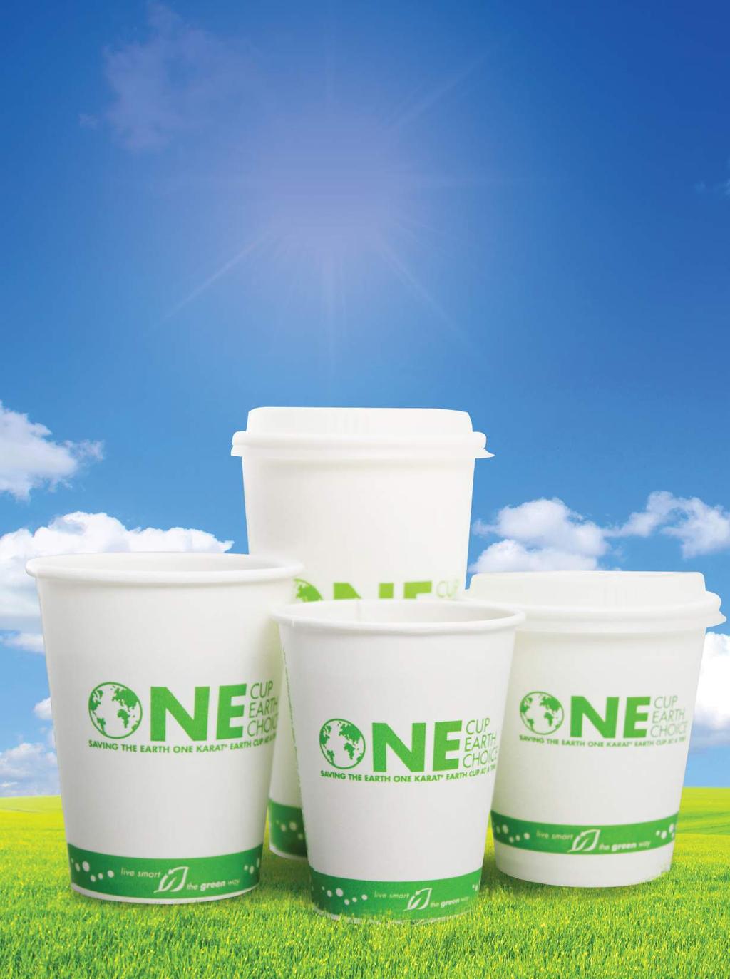 Compostable & Eco-friendly Food Service Disposables 40 What is PLA?
