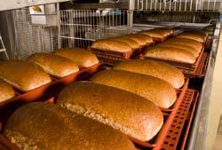 Tin bread and toast line The tin bread lines as supplied by the Kaak Group, are a good example of high quality equipment integrated into highly