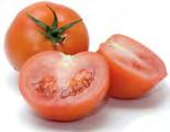 produce Tomatoes Rounds: In Florida, the Palmetto - Ruskin area has virtually finished, leaving only a few shippers with product available in that area. Quincy and South Carolina have started up.