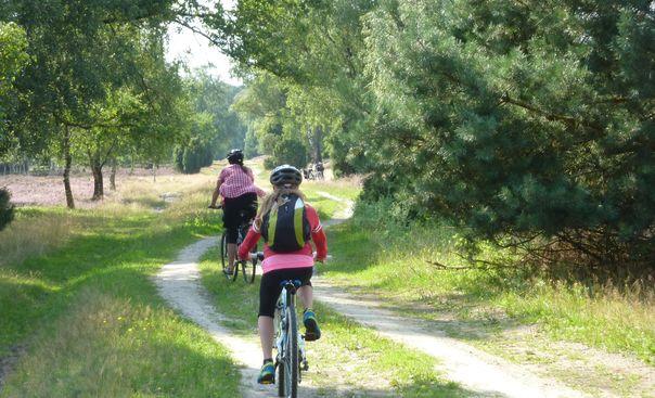 Lüneburg heath radial tour TOUR DESCRIPTION Heathland - Wonderland During this radial tour you will discover the most beautiful parts of the Lüneburg Heath.