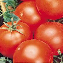 This tomato is known to originate from Mexico, so it s rather unique as it does well in