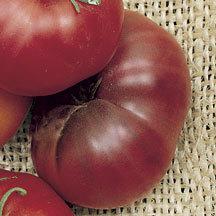 A spectacular, mid-season variety with plump, juicy, deep red tomatoes that often weigh more than one pound. Once they arrive they just keep on coming!