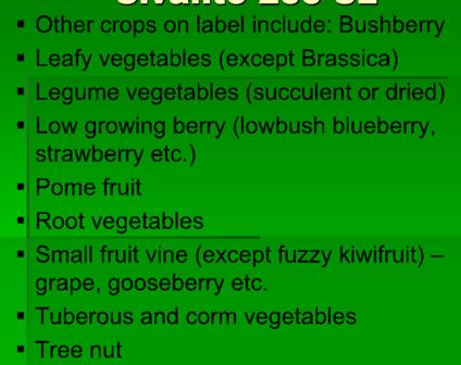 Sivanto 200 SL Other crops on label include: Bushberry Leafy vegetables (except