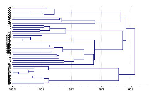 Numbers of subsets distinguished by primer combinations Dendrogram number Genetic similarity Fig. 3.