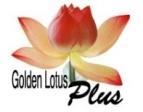TT Nhãn hiệu Nơi đăng ký 1 2 3 4 Nhãn hiệu con cò Nhãn hiệu Vietnam Airlines và hình Nhãn hiệu Golden Lotus Plus và hình