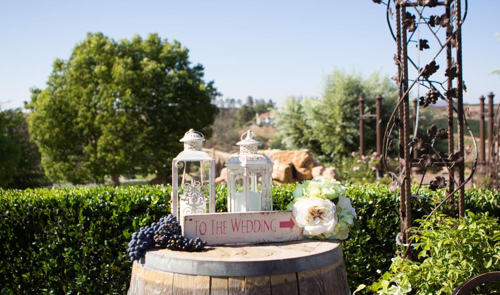 Chateau Wedding Package Churon Winery Garden Gazebo Ceremony Site Reserved engagement and save the date photography Reserved one-hour wedding rehearsal Complimentary menu tasting for two Pre-Ceremony