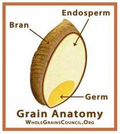 Grains Whole Grains: The word whole is listed before each grain on the ingredients list Rolled oats and oatmeal (quick cooking, old-fashioned, and instant) Brown rice,
