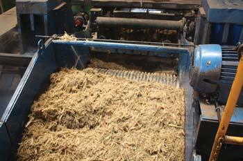 Part of the pulp is used to make compost which is stacked in a field across the road from the