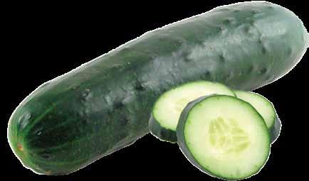 Cucumber Cucumbers range from 2 inches to 1 foot in length, depending on the type. They are dark green to light green in color.