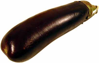 Thomas Je ferson is credited with introducing eggplant to North America. Eggplant is a member of the nightshade family, which includes tomatoes, peppers and potatoes.