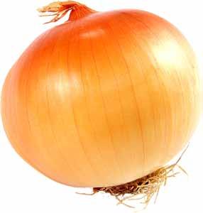 It is believed that onions originated in Asia, though it is also possible that onions may have been growing wild worldwide.