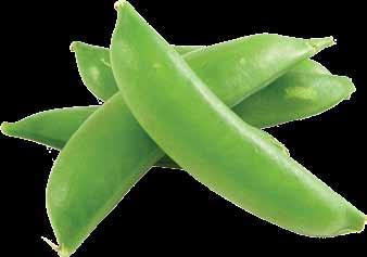 Pea Pea plants develop pods that enclose fleshy seeds. Green (shelling) peas are picked when the seeds are plump yet tender and should not rattle in the pod.