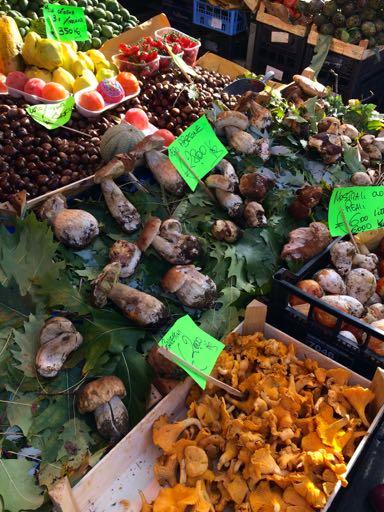 Wed, Nov 7 Market in Pistoia and Vorno Lunch This morning we will be visiting the bustling market town of Pistoia to help the