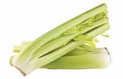 Celery.99/Ea.