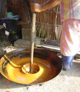 Several steps of processing nypa sugar are summarized as following: Pour filtered sap into a pan (using pan is easier to stir) Boil the sap with medium heat