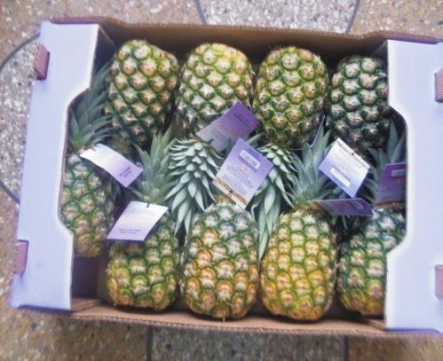 Quality requirements: Adherence to the following standards: GAP, Fair trade and HACCP. Look for pineapples that are heavy for their size.