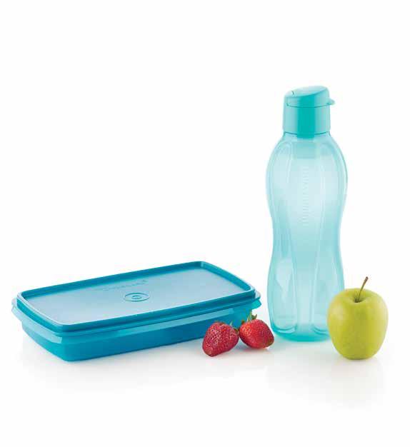 HOMEMADE, AND HEALTHY 995538 Slim Dish Set Consists of: Slim Dish (750 ml) Eco Bottle (750 ml) The Eco Bottle has a flip-top cap and is an ideal size for work, gym