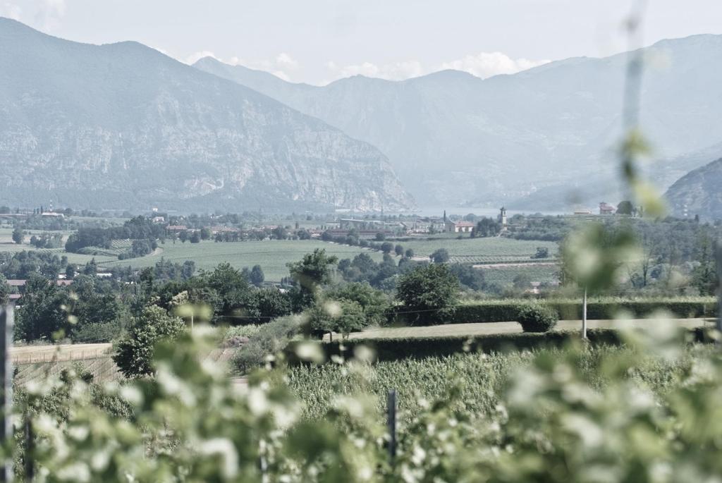 Franciacorta is one of the world s distinctive sparkling wine regions.